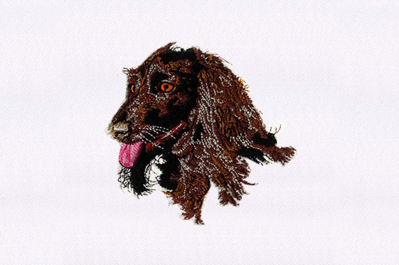 Afghan Hound Face: A Designer’s Review for Craft Fair Success