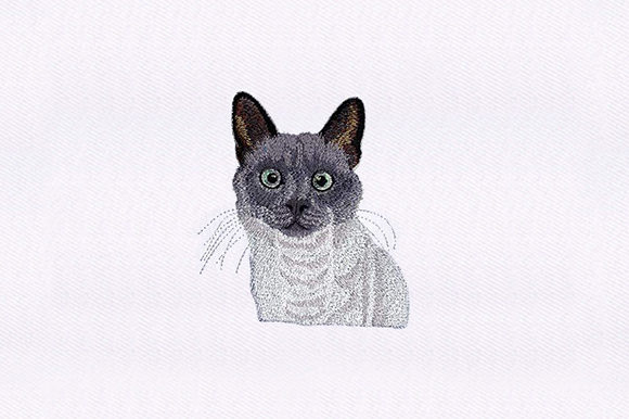 Balinese Cat Embroidery Design Review