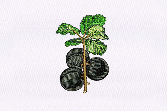 Black Cherry Vines: A Seller's Honest Review for Etsy & Small Shops