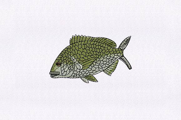 Green Fish – A Boutique Embroidery Design Review