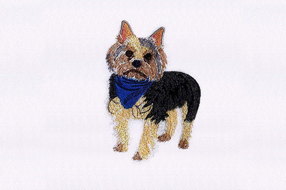 Yorkshire Terrier Dog: A Designer's Review for Personalized Gifts